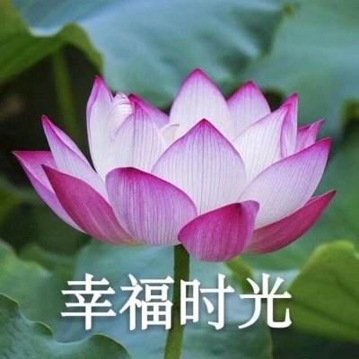 三国奇兵手游九游版下载