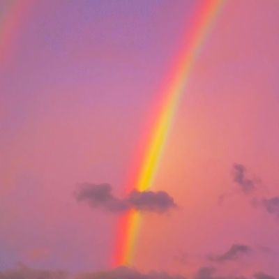 魔宠英雄传bt版下载